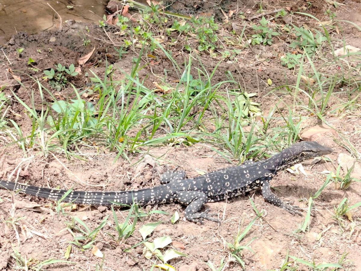 Priyanna Guest, Forest View Polonnaruwa Dış mekan fotoğraf