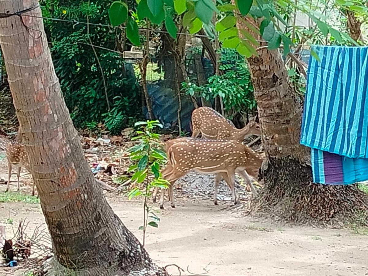Priyanna Guest, Forest View Polonnaruwa Dış mekan fotoğraf